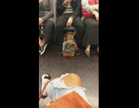 Matching polka dot dress pants and romber