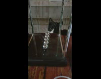 Black white cat move pendulum ball swing