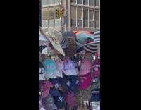 Hat covered by swarm of bees store