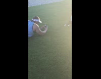 Black white dog lays grass visor hat