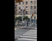 Pigeon lady feeds flock of birds on sidewalk