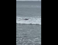 Guy laying on surfboard kicks legs feet