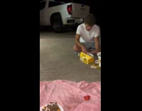 Friends eating dinner with raccoon 