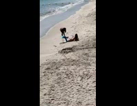Girl carries blue mermaid tail friend beach 
