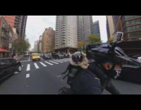 Guy bicycle brown dog batman cape goggles