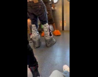 Couple wears furry shoes on train ride