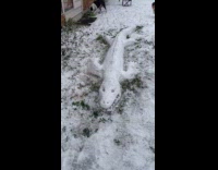 Man reacts at snow alligator on yard
