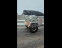 Dogs howling in aluminum dog box