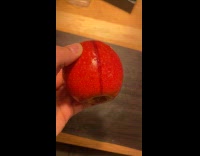 Apple has vertical discoloration line