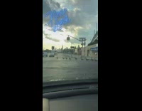 Ducks cross street in single file line New york filter