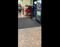 Rooster walks into store hey buddy