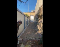 Sheep follows guy walking wherever he goes