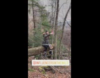 Woman jacket sit tree branch selfie forest