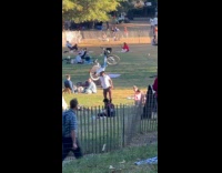 Collab WINY - Man balance citi bike on head park