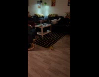 Dog gets zoomies runs around the couch