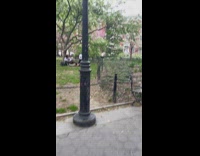 Man has Picnic with Guy with Panda Head 