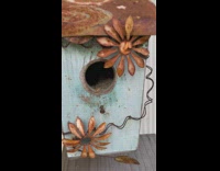 Bumblebees inside hole of bird house