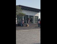 Group girls dance on stairs raise arm