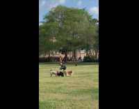Woman in orange sweater tiktok dance at the park