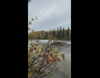 Black boat jumps over wood lake water