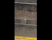Laminated card on subway train tracks