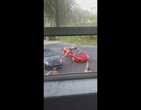 Woman does splits in between sports cars 