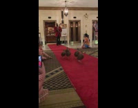 Ducks march down red carpet for event