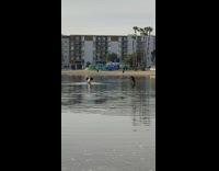 Shirtless man lift barbell hidden under water