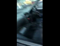 Guy hits dashboard and it honks
