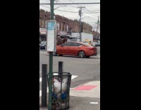 Collab WINY - Man cowboy crosses road on a horse