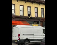 Collab WINY - Husky dog Watches Over Neighborhood from Yellow building Second Story Window