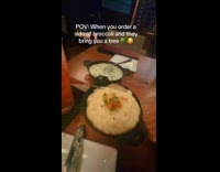 Submitter given a huge chunk of broccoli on the side 