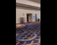 Women cosplaying captain olimar and pikmin