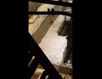 Girl scares strangers on sidewalk with green laser 