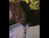 Black cat play with guys hair on couch 