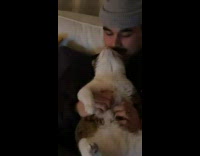 Man hold and massage cat with two hands