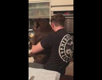 Guy spin on chair hug large dog 