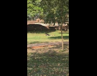 Black tank top guy lays on grass 
