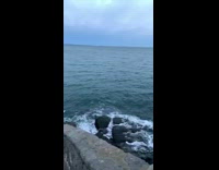 Woman blue polo sit barrier stairs ocean