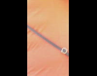 Woman takes picture with giant burger