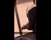 Man carries pigeon waiting at subway platform
