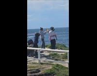 Collab IITW - Man holds thing with bird on shoulders