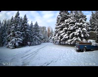 Deer jumps and hops caught on CCTV