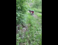 Guy on bicycle pulls friend cart fail 