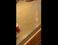 Dog gets pup cup at coffee shop 