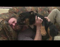 Black bulldog licks and kisses man with beard in the face on couch 
