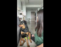 Woman tells her dog shes not her real mom