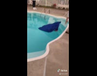 Guy blue graduation gown walks on water 