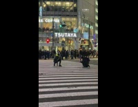 Guy takes picture street crosswalk