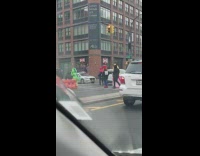 Person in yoshi costume walked by mario with leash